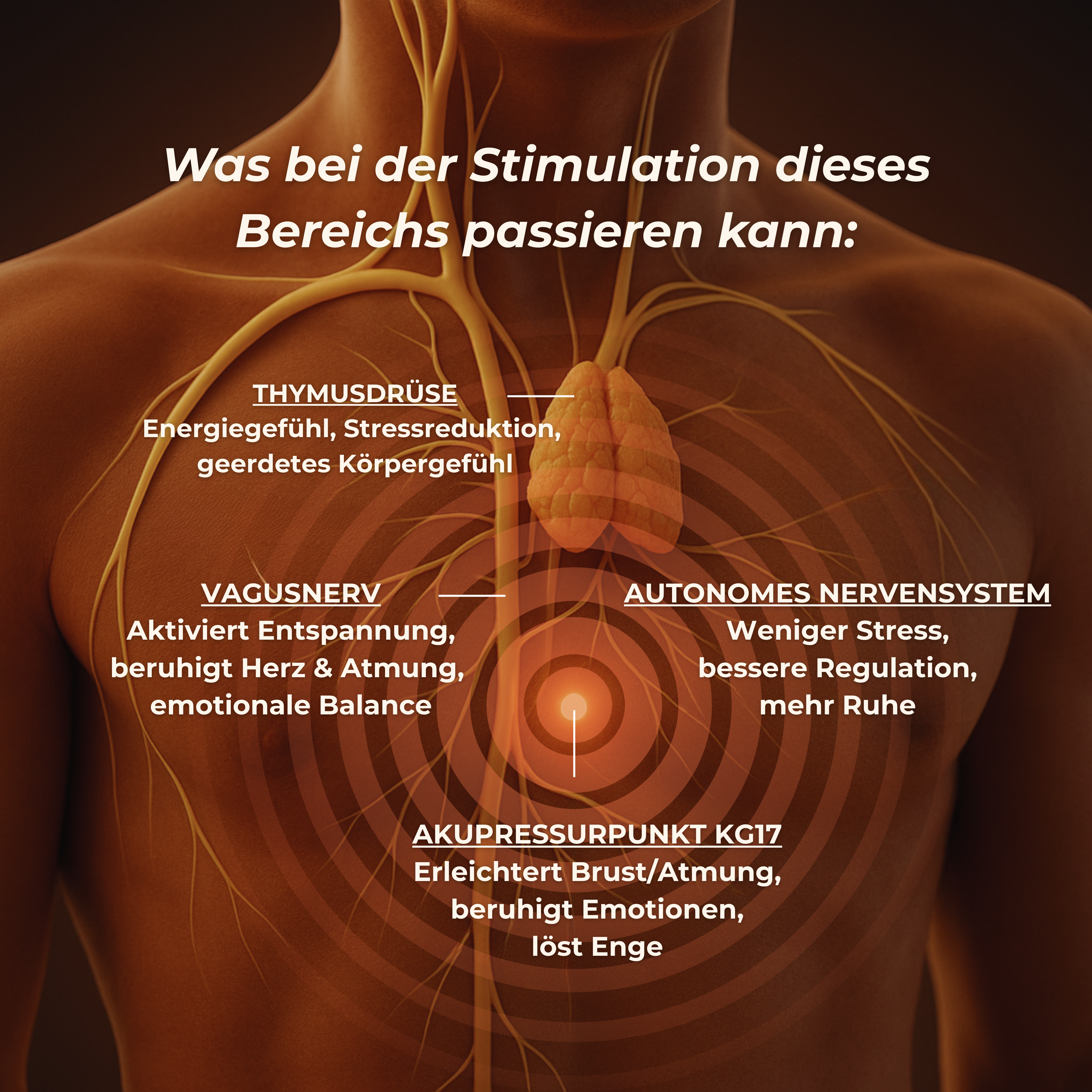 EASE-Akupressurkette